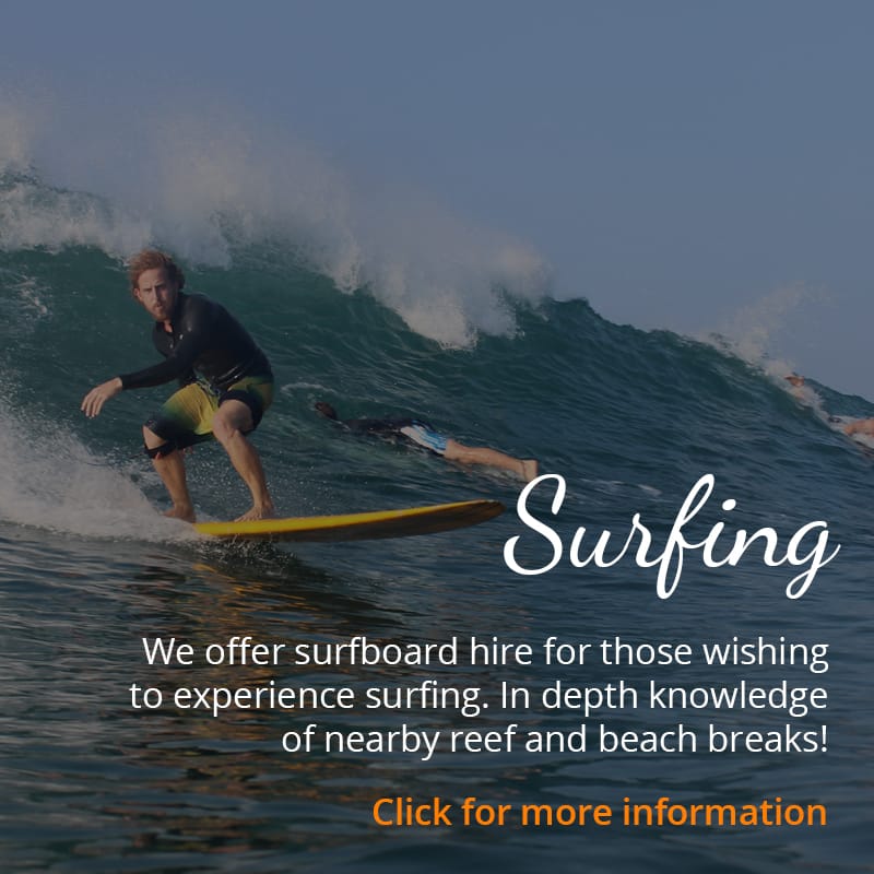 Things to do - Surfing